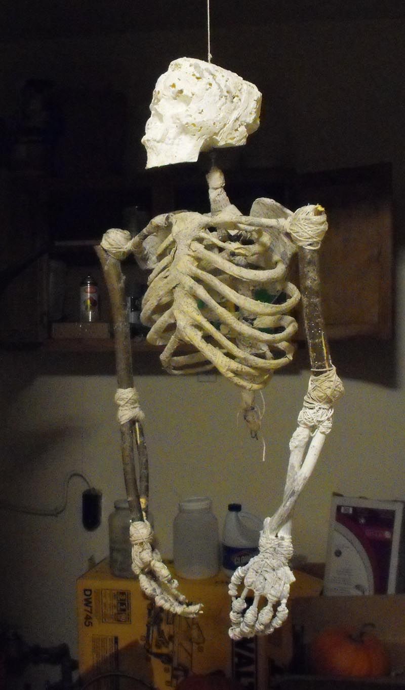 DIY Reconstructive Skeletal Forensics