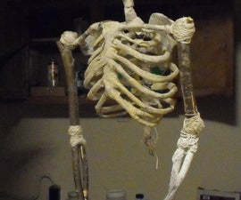 DIY Reconstructive Skeletal Forensics