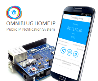 Know the Public IP From Your Home