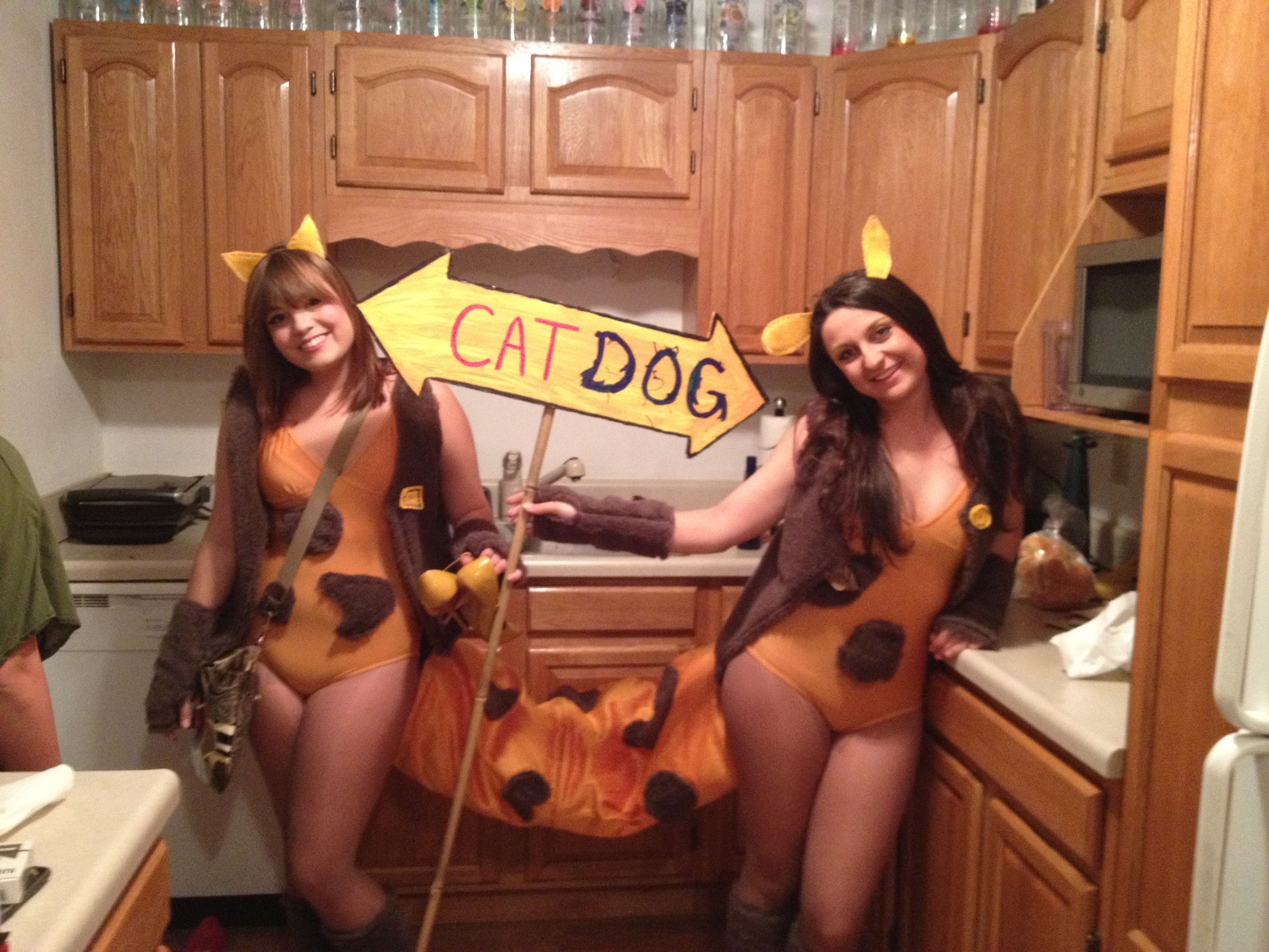 CATDOG Homemade Costume
