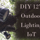 DIY Low-Voltage Outdoor Lighting Controlled Using Raspberry Pi