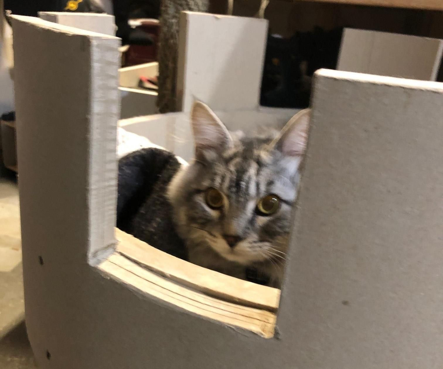 Elium Castle, the Castle Home of Eli the Magnificent