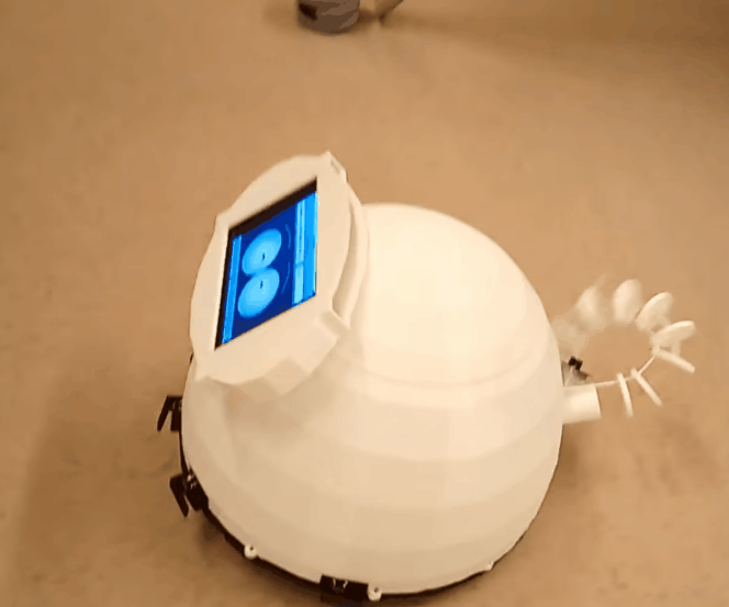 Eggy, (scientific) Social Signal Pi Robot