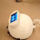 Eggy, (scientific) Social Signal Pi Robot