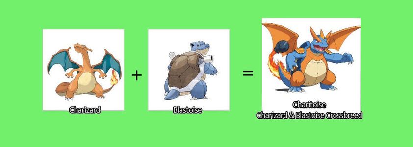 Pokemon Design: Sketch the Appearance