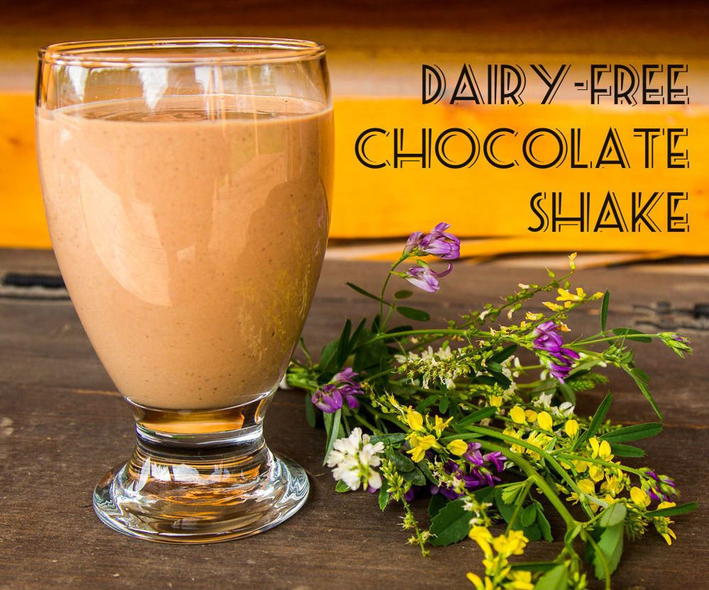 Easy Rich Chocolate Shake (dairy Free!)