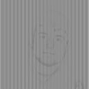 Hidden Photo Optical Illusion