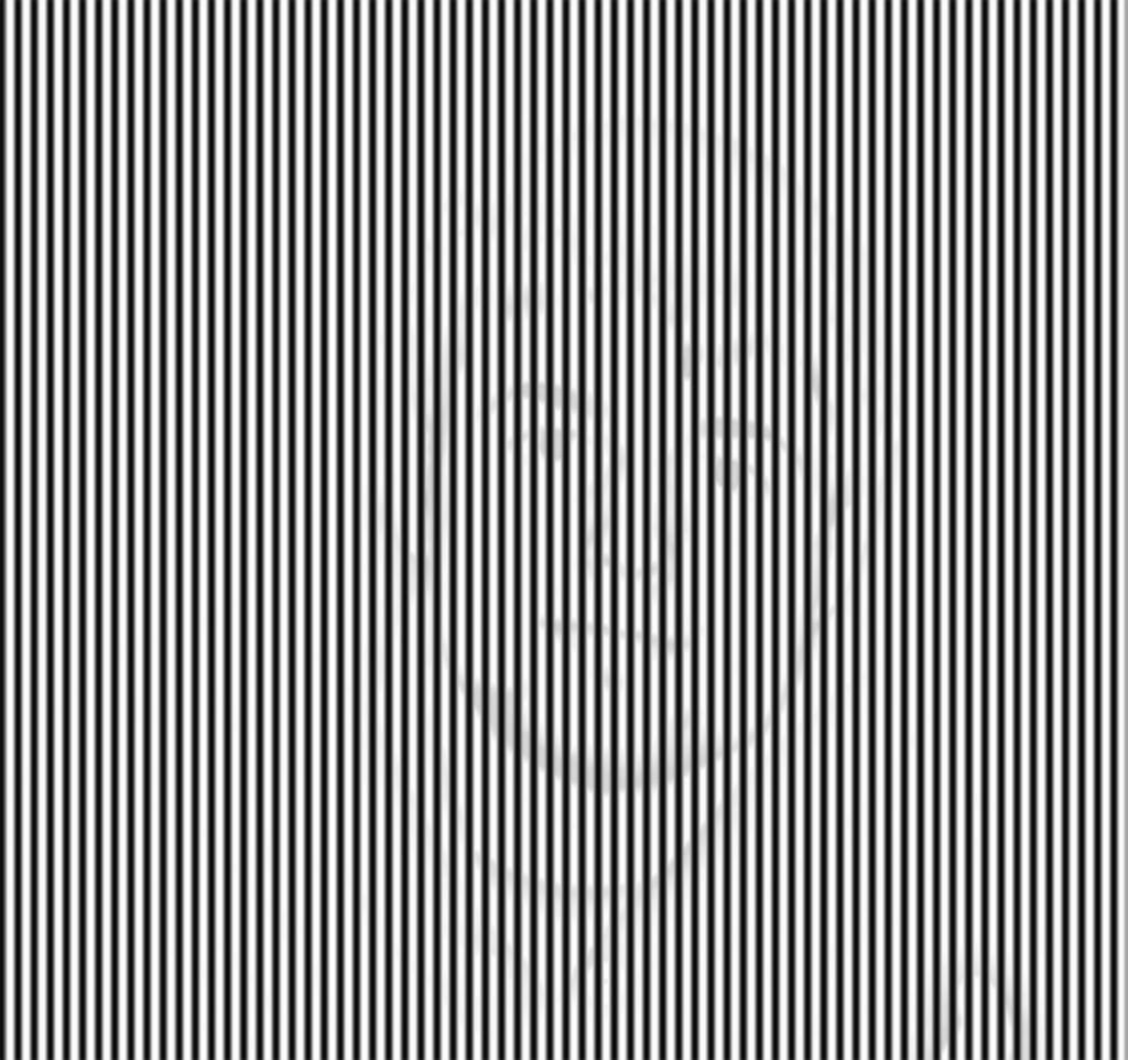 Hidden Inages Test Pattern Hidden Pictures In Pictures Illusions
