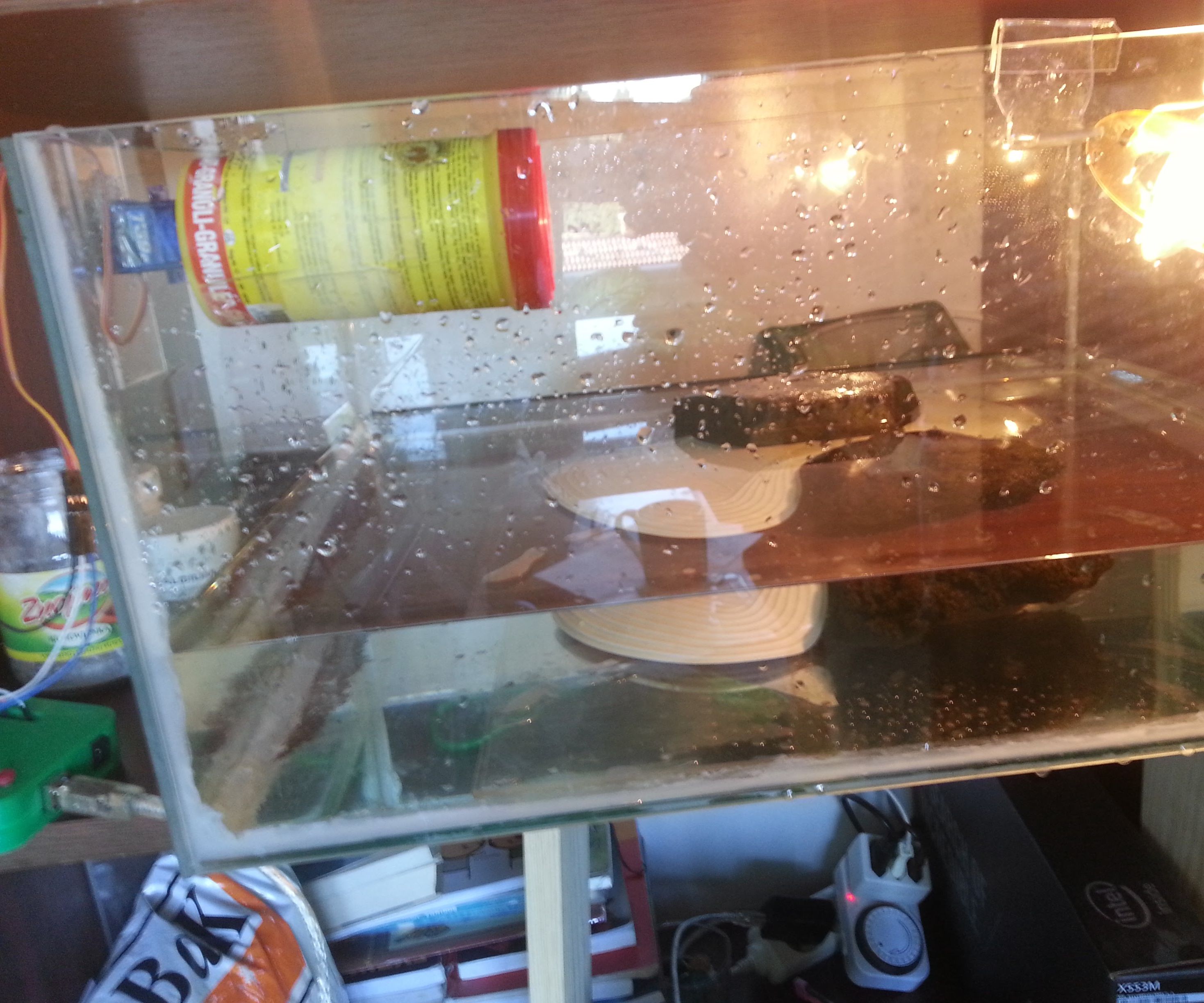 Auto Turtle/fish Feeder