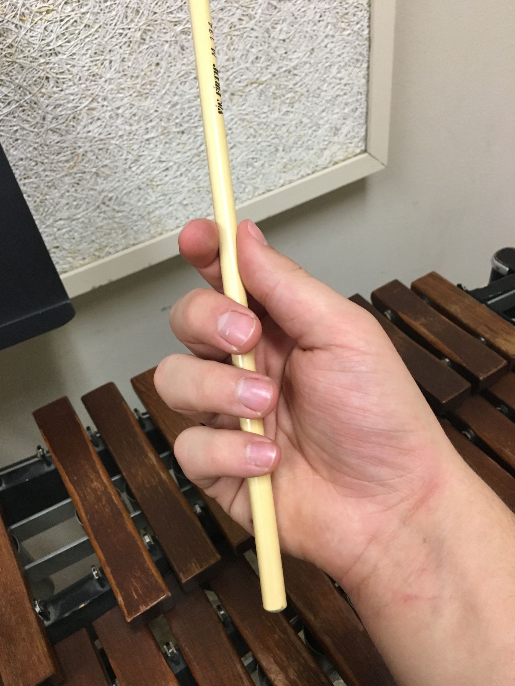 Learning to Play the Xylophone 5 Steps (with Pictures) Instructables