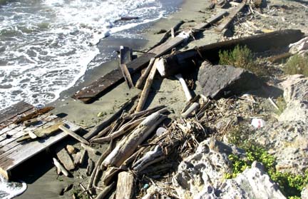 How to Scavenge Wood With a Kayak