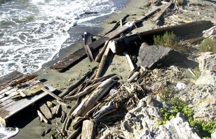 How to Scavenge Wood With a Kayak