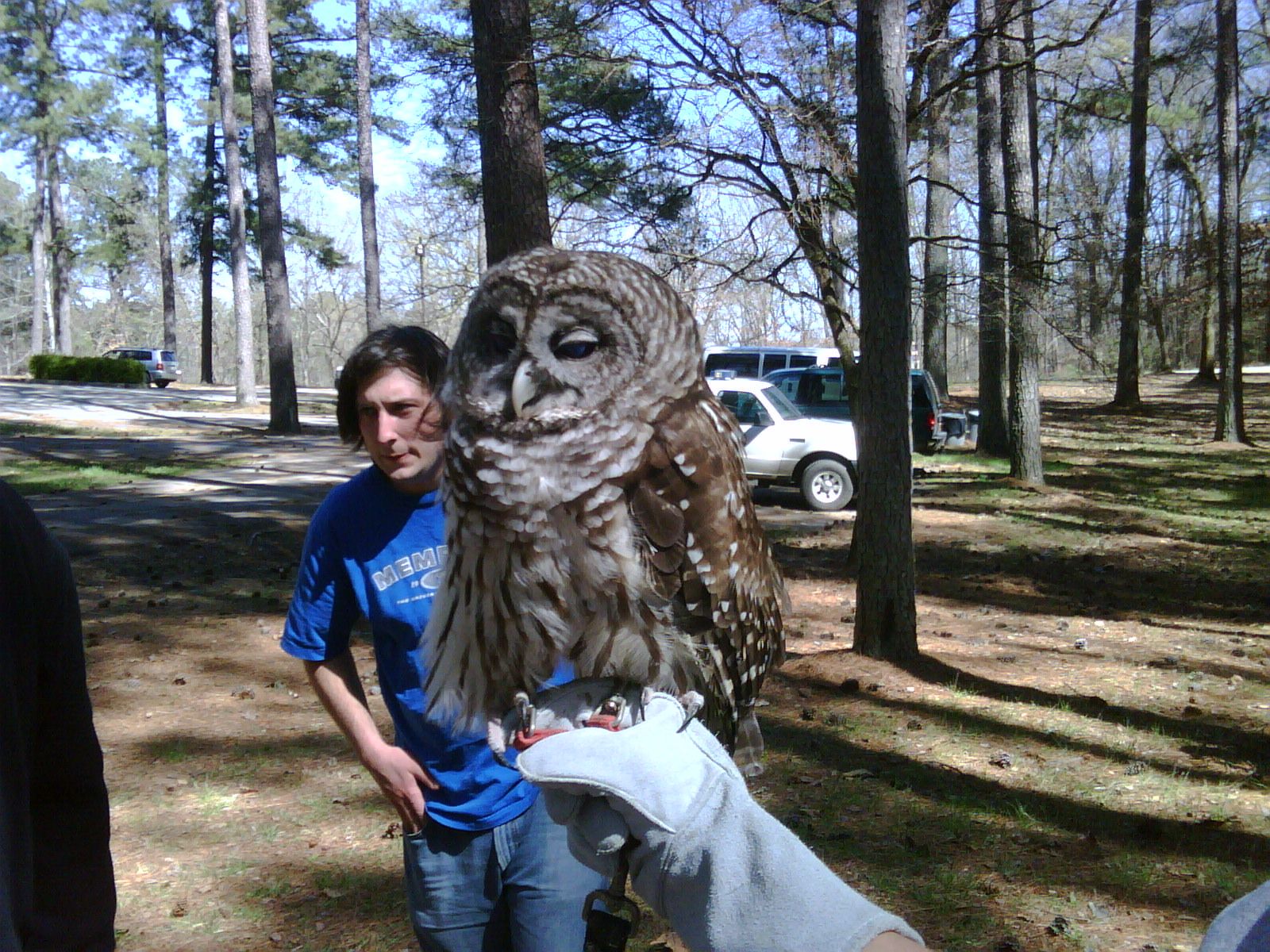 How to Handle an Owl