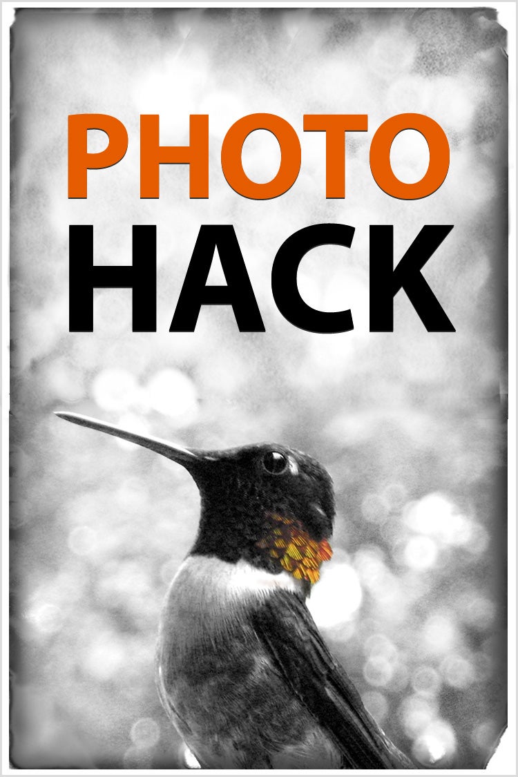 Collection Cover Image: Photo Hack