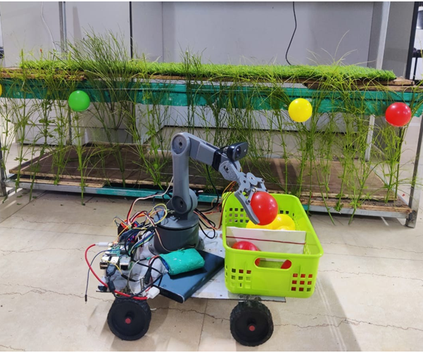 Design and Implementation of Autonomous Fruit Plucking and Segregation Robot in Vertical Farming