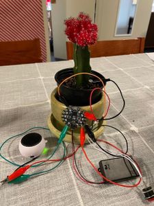 Test and Complete