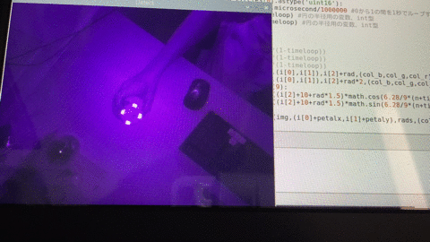 Programing and Test the Function