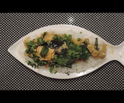 Gummy Shark Catch and Cook