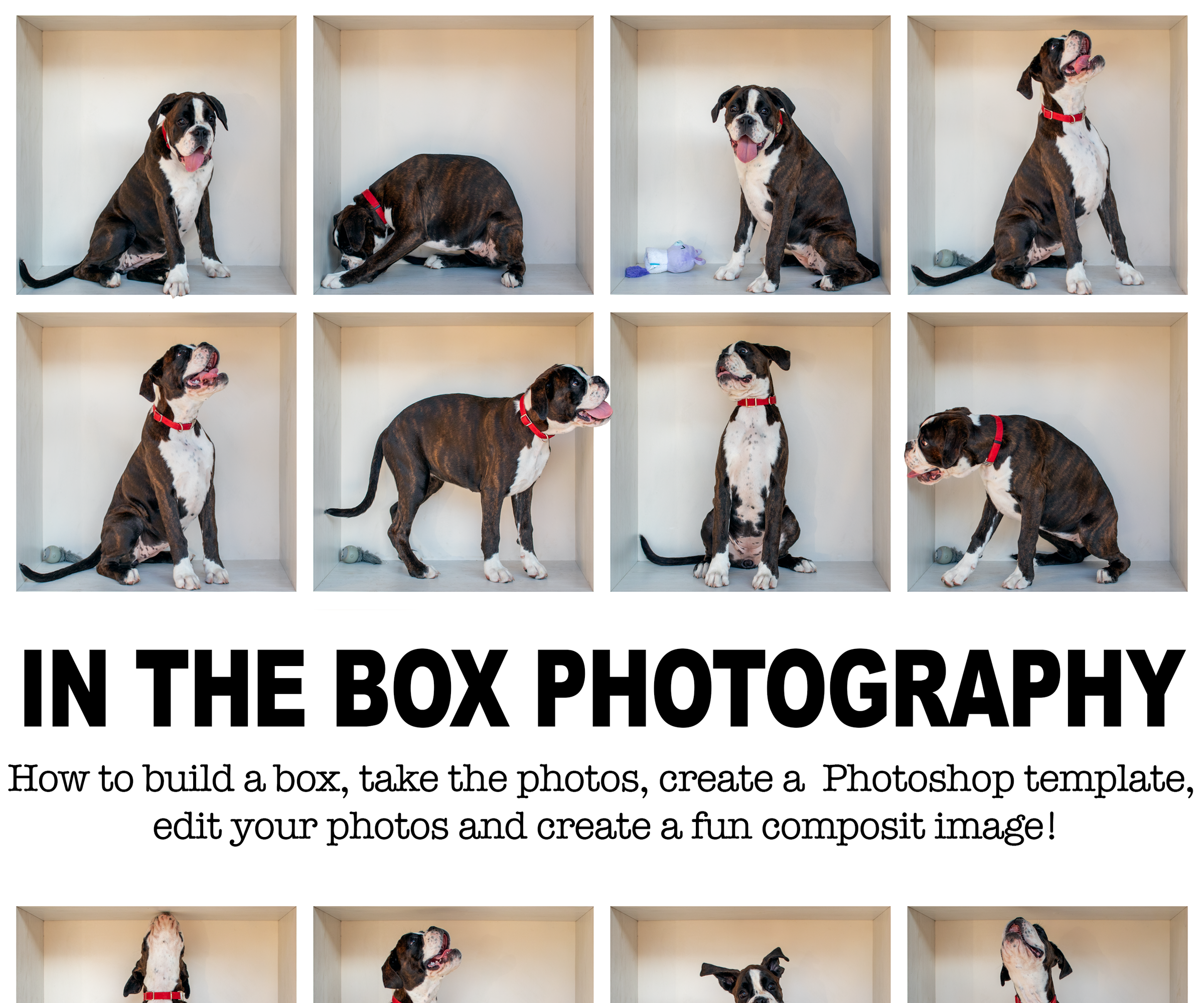 In the Box Photography