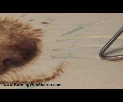 Pyrography: How to Burn Reversed-Out Whiskers on Animals
