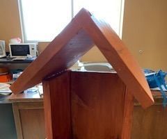 Blue Gray Gnat-Catcher Bird House