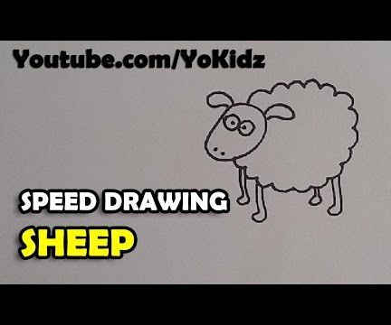 How to Draw a Cartoon Sheep