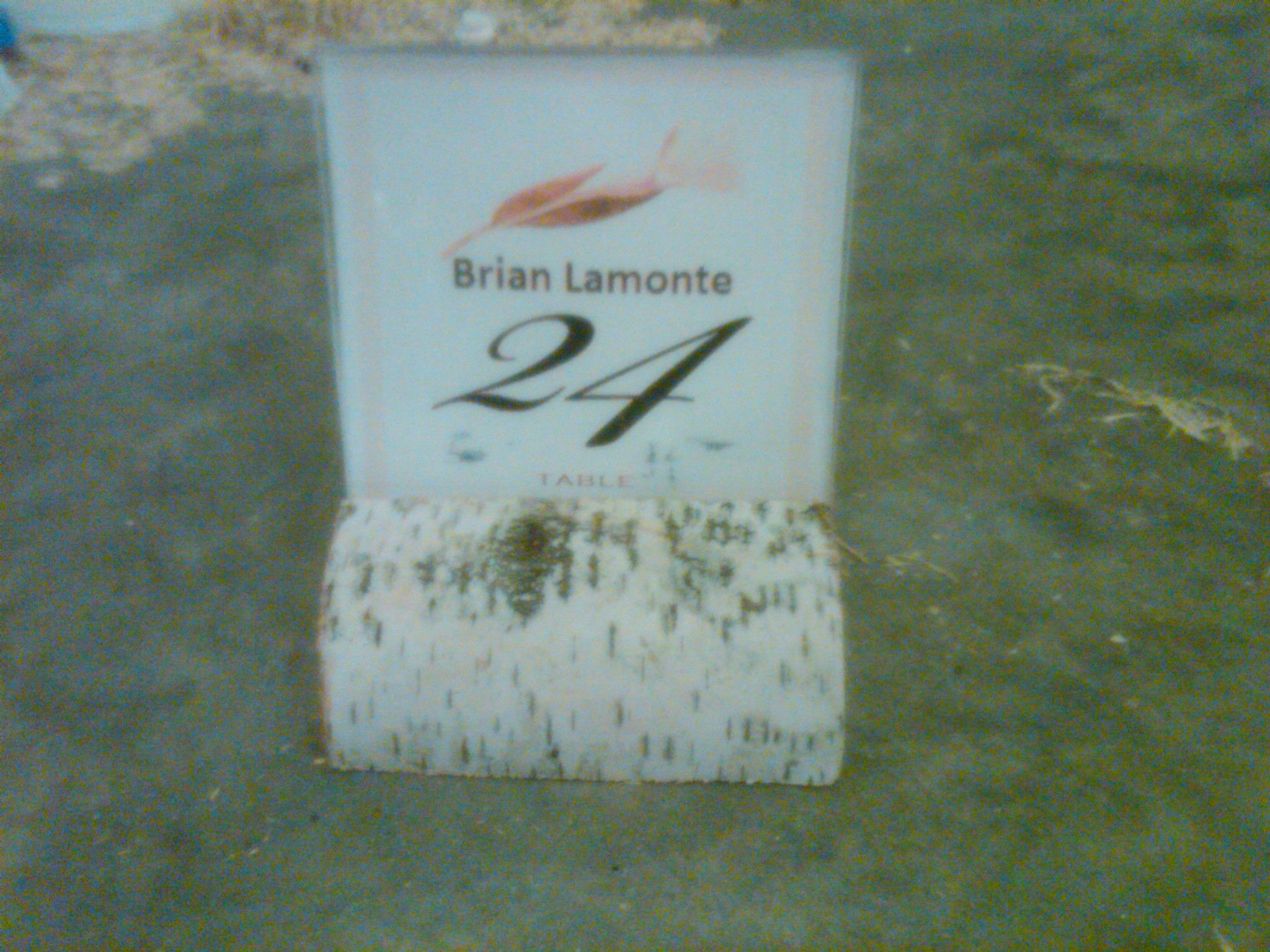 Birch-Base Reception Placeholders