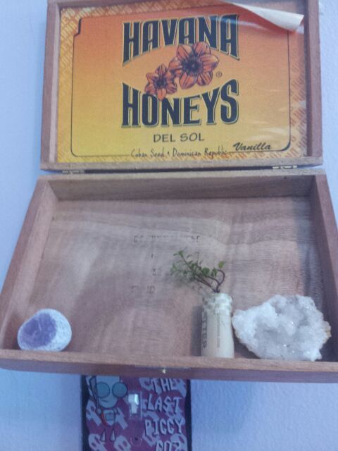 Cigar Box Garden/Display Case