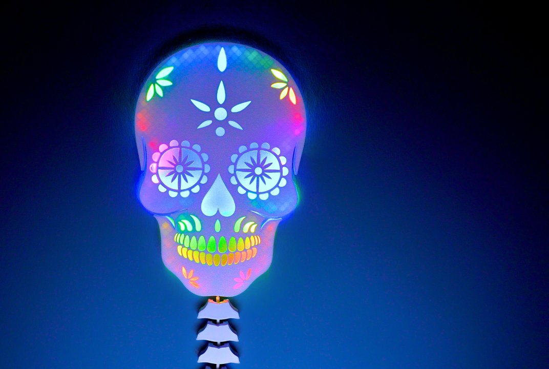 Decorative Skull LED Lighting (WLED - ESP8266 - WS2812)