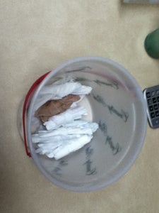 Marvel at How Much More Space You Have...