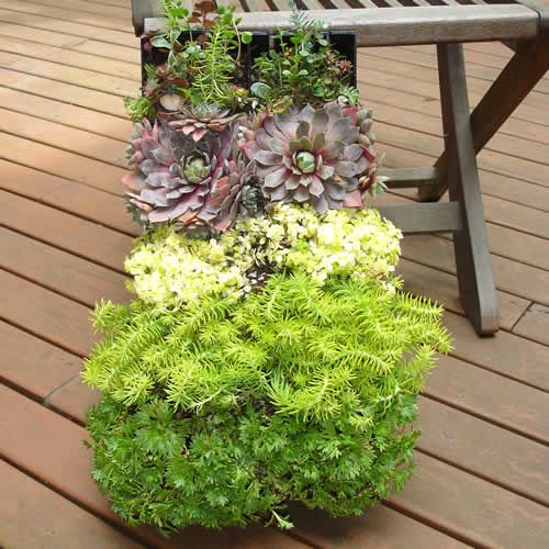 Vertical Garden w/Bright Green System