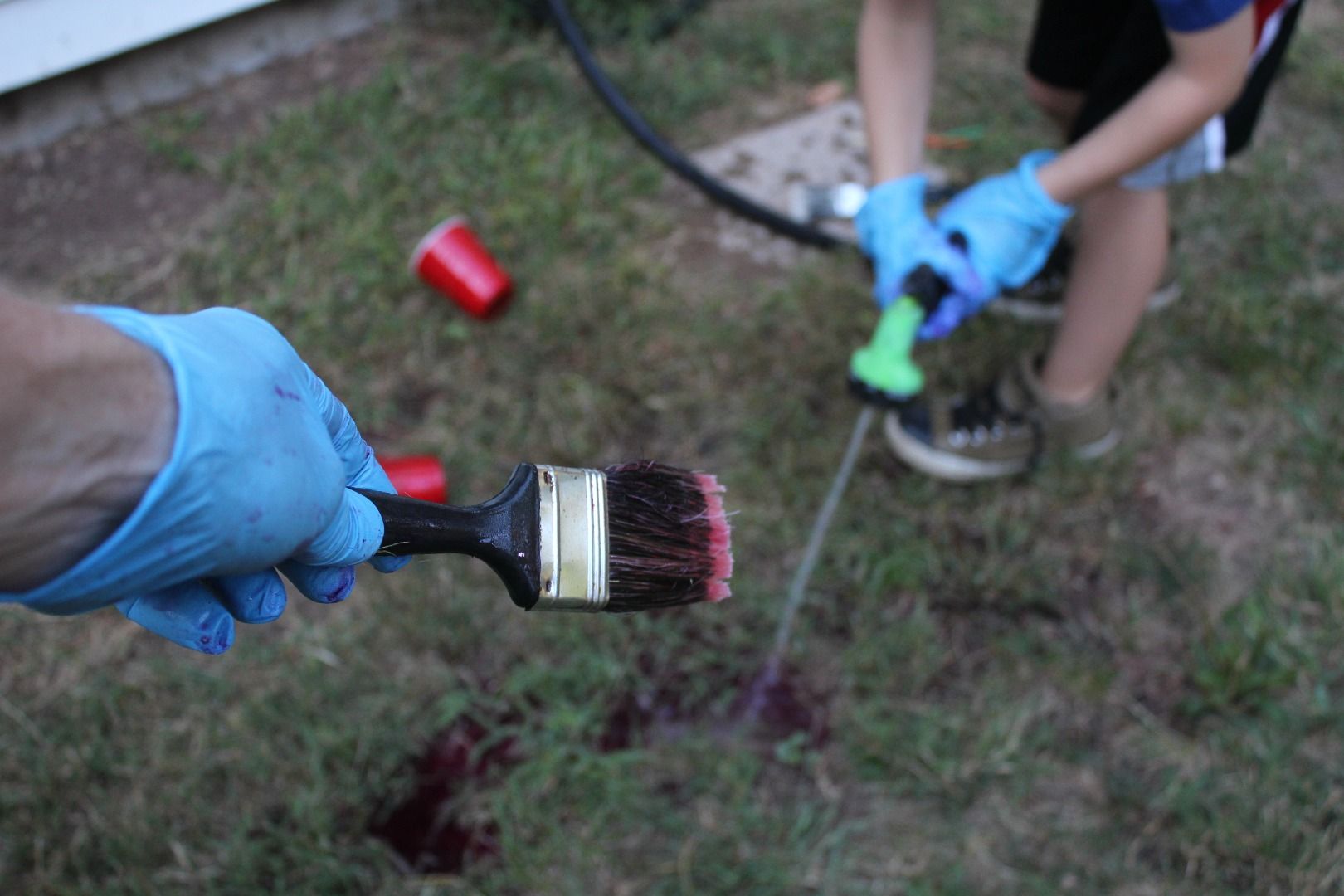 Poisonous Plant Paint for Kids! 3 Steps Instructables