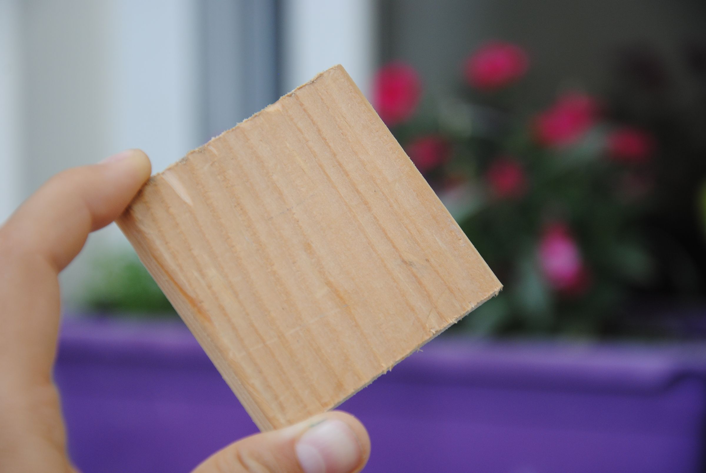 Impossible Screw in a Block of Wood : 8 Steps (with Pictures ...