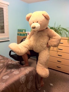 Teddy Bear Costume
