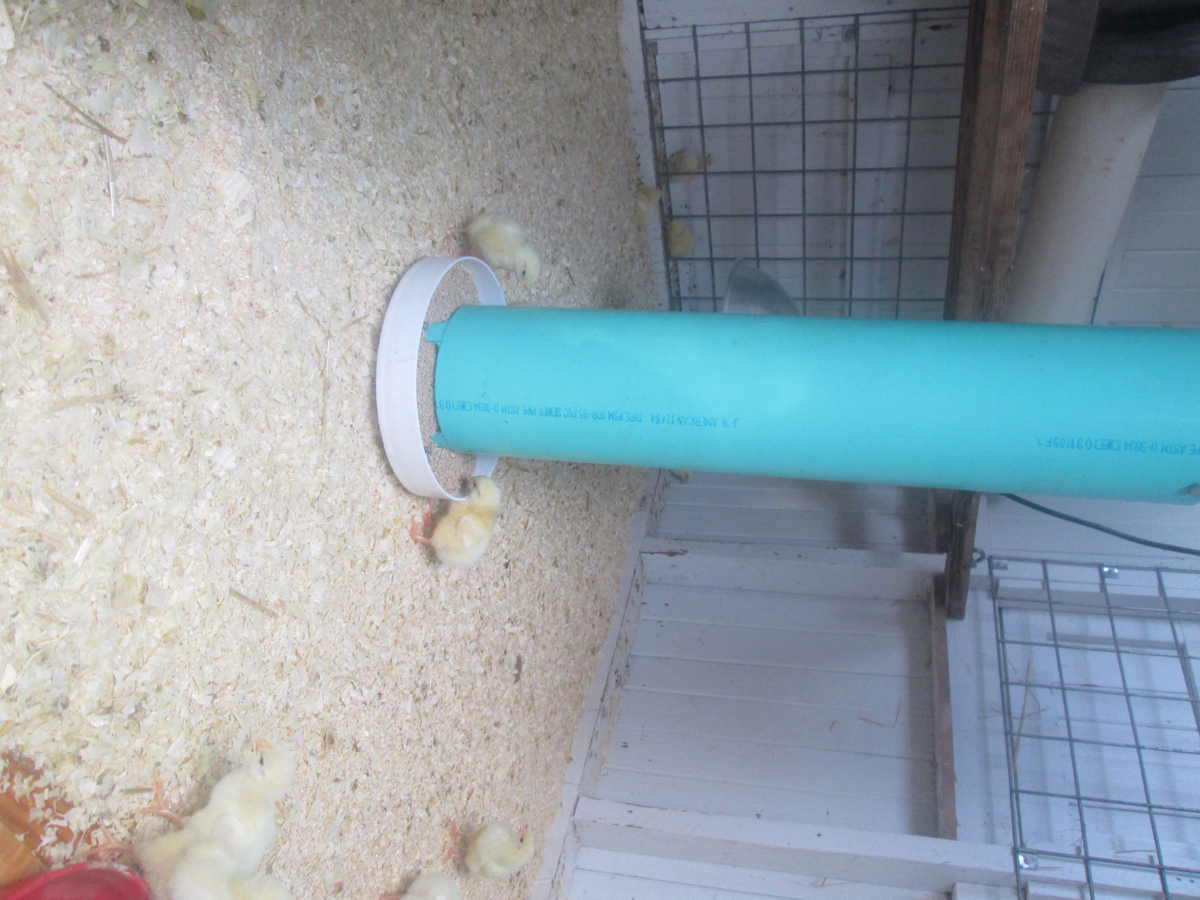 Easy to Build PVC Chicken Feeder 10 Steps (with Pictures) Instructables