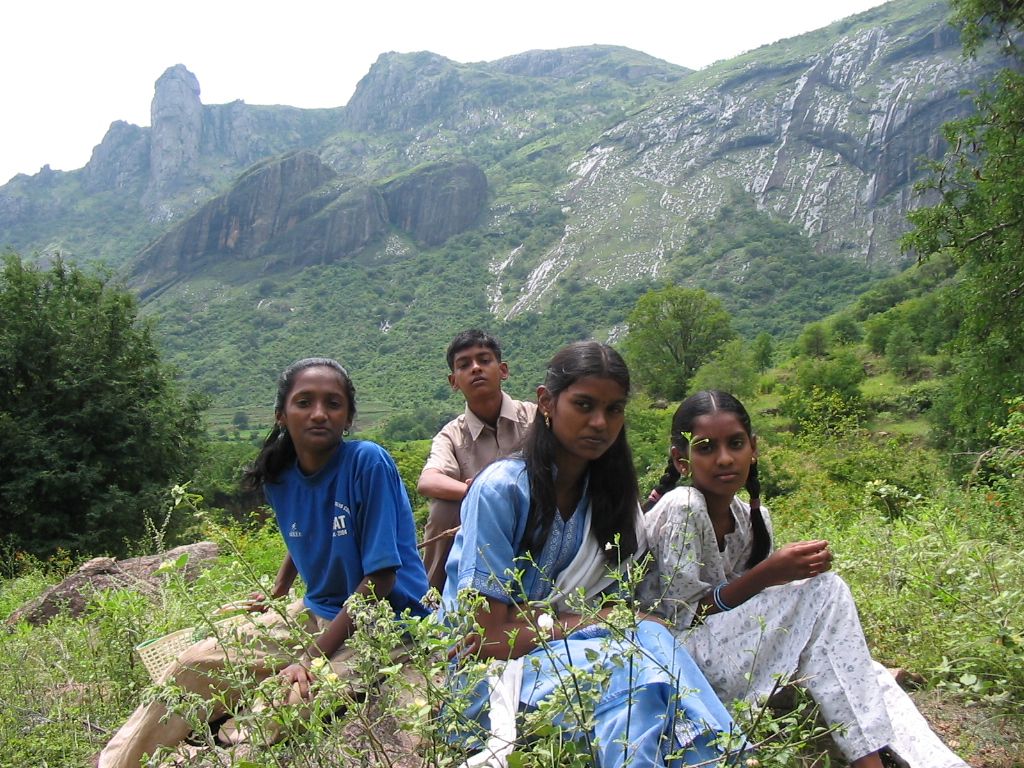 The Great Outdoors : in Search of Medicinal Plants