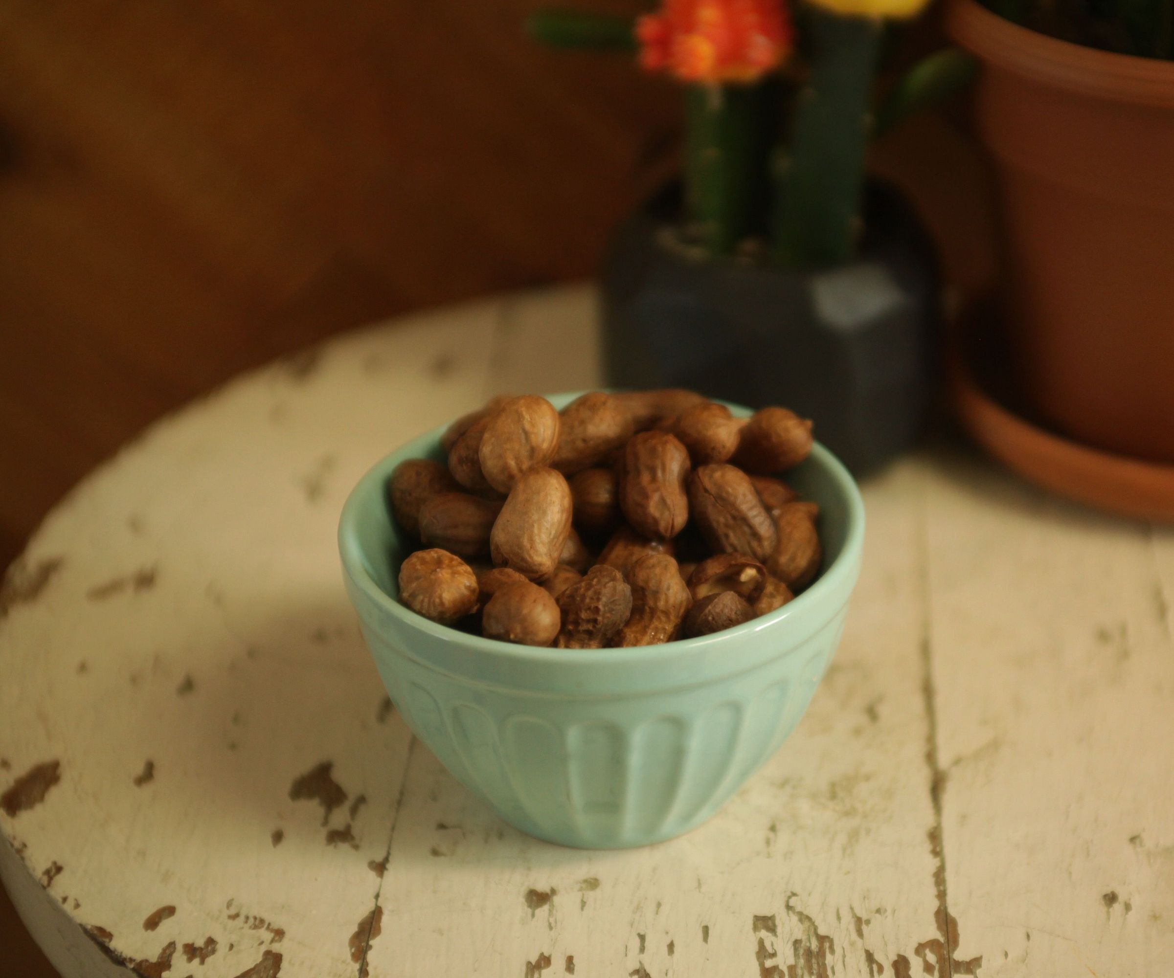 Florida Boiled Peanuts