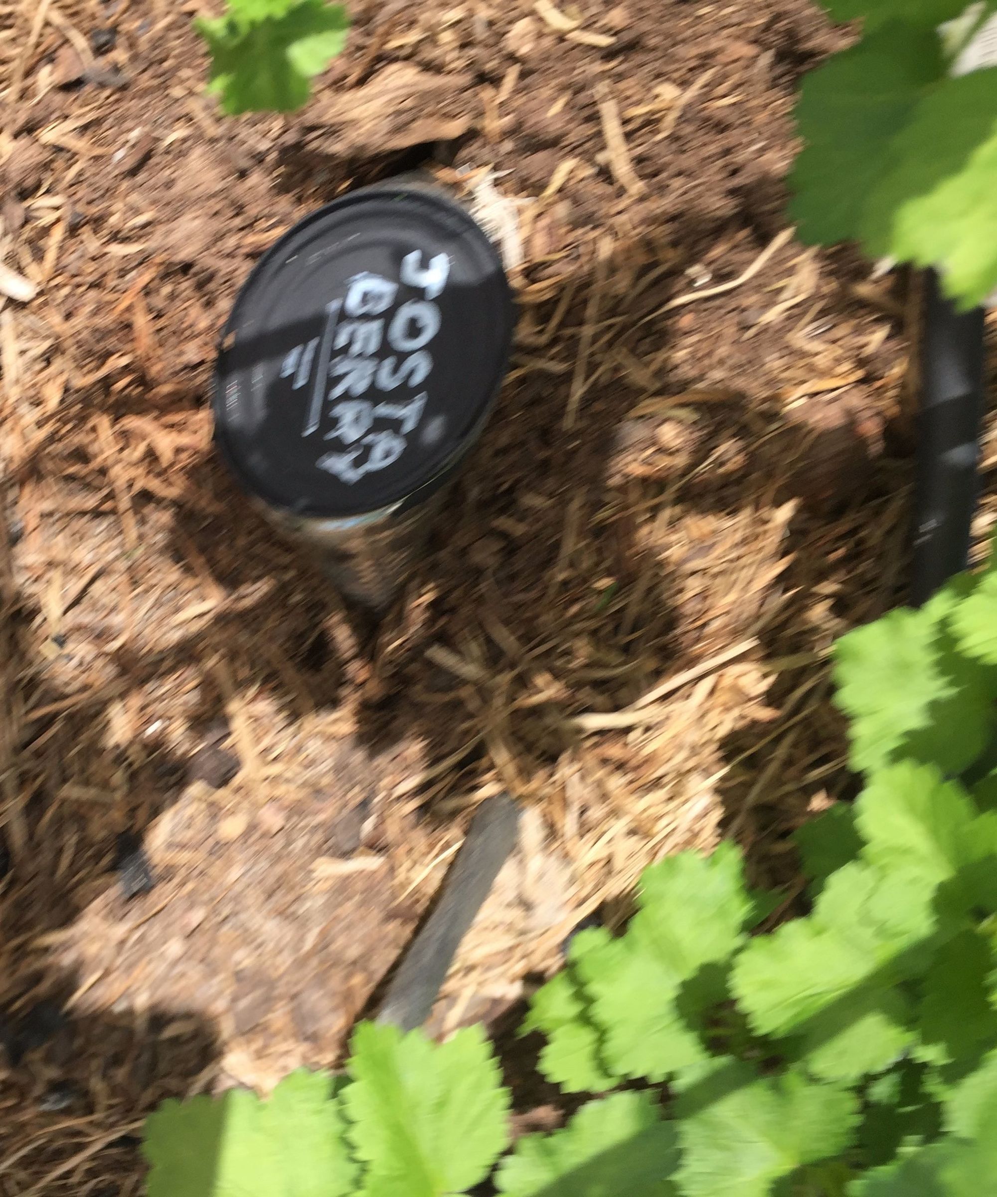 Never Forget What You Planted - Plant Labels