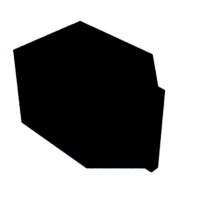 download {{ file.name }}