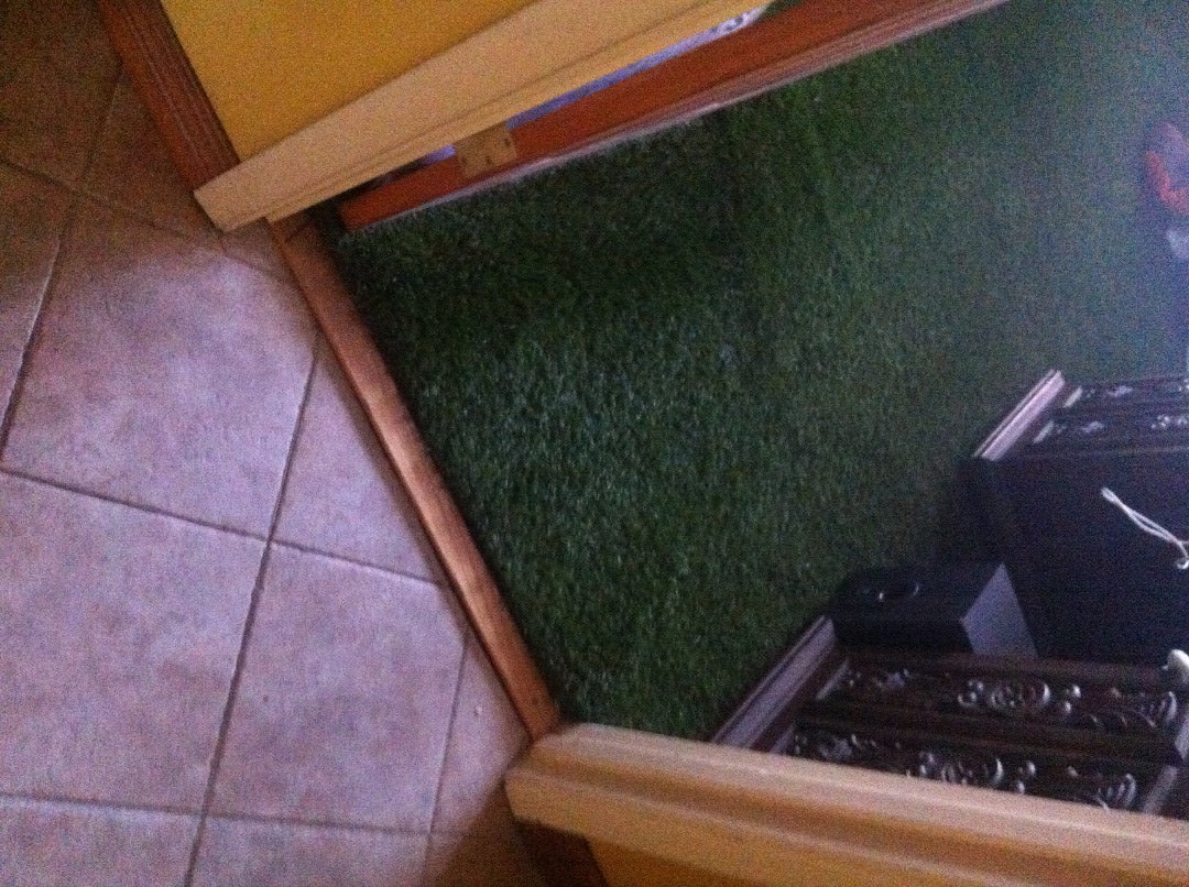 Bringing the Outside in With Artificial Grass