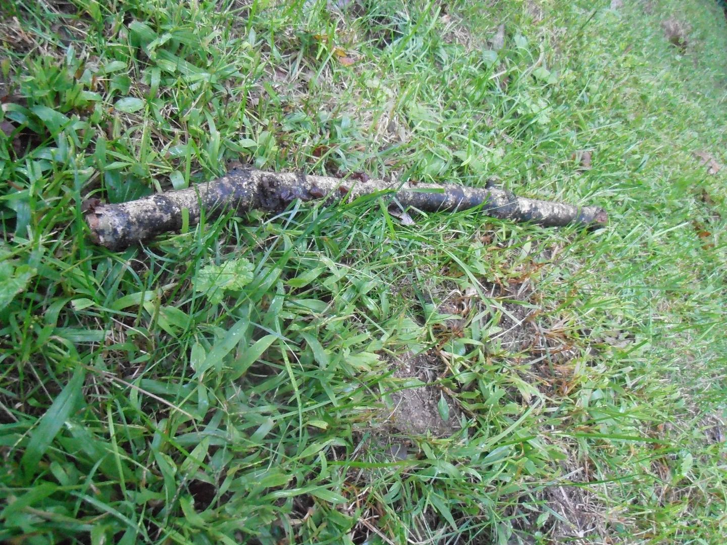 How to Make a Fire With Wet Wood 3 Steps (with Pictures) Instructables