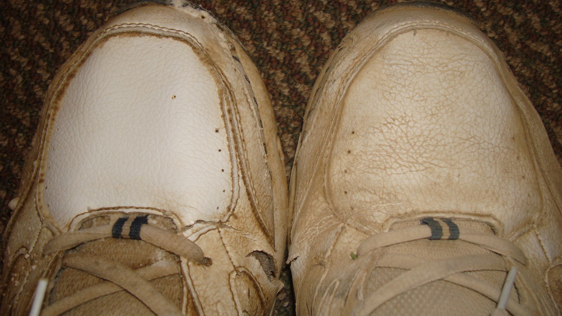 How to Reduce Odors Without Using Harmful Chemicals