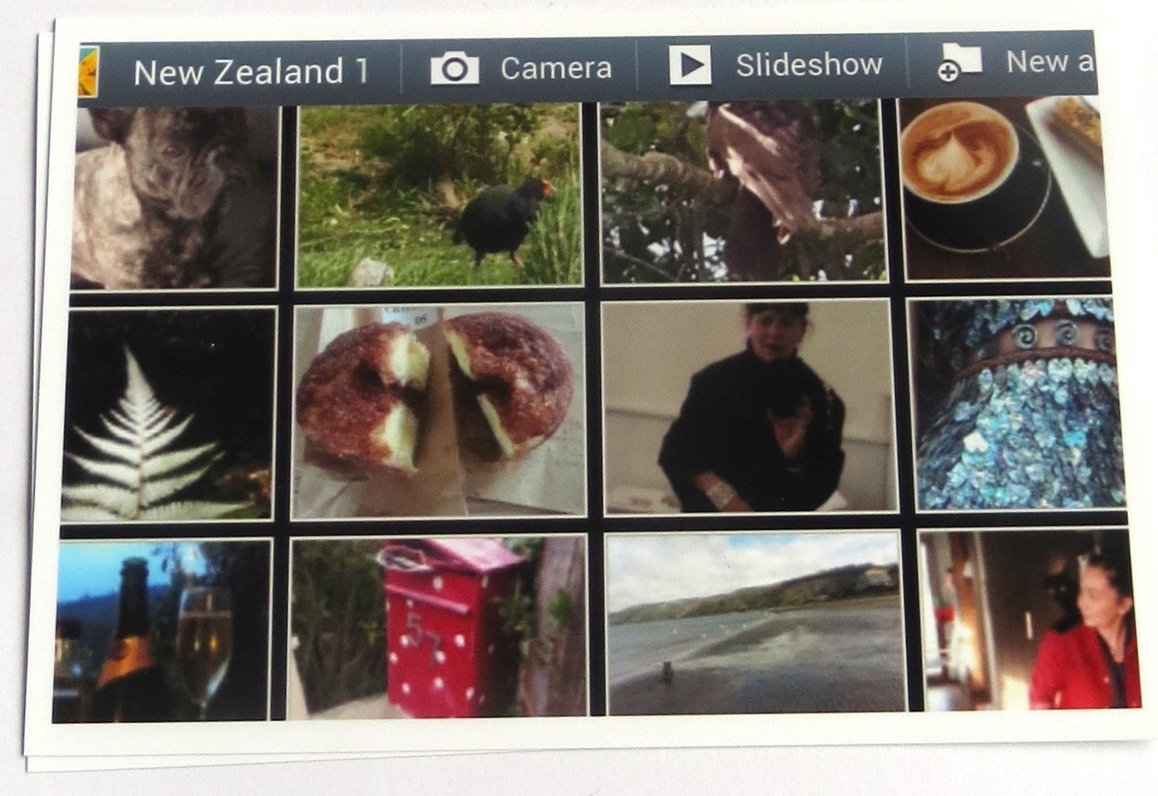 Cheap and Personal Photo Souvenir Postcard