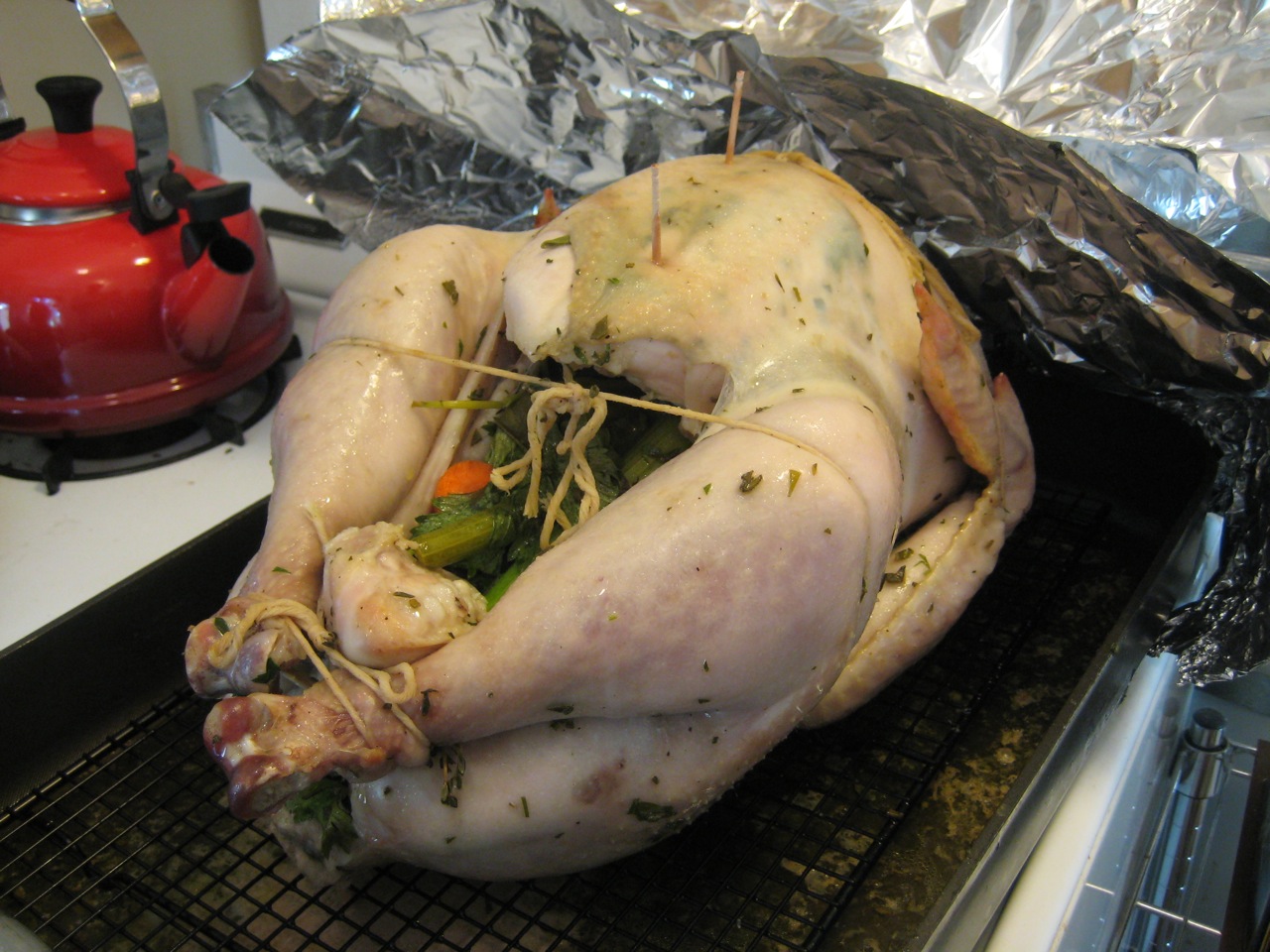 turkey with carrots celery and onions