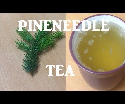 Pineneedle Tea