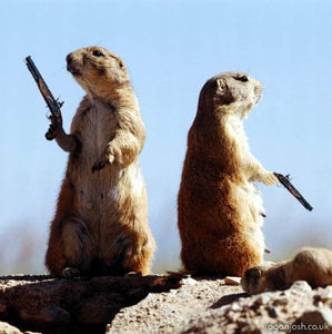 Dueling Solves All Problems