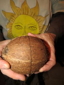 Step 2: the Coconut Clapper