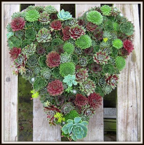 DIY Living Valentine