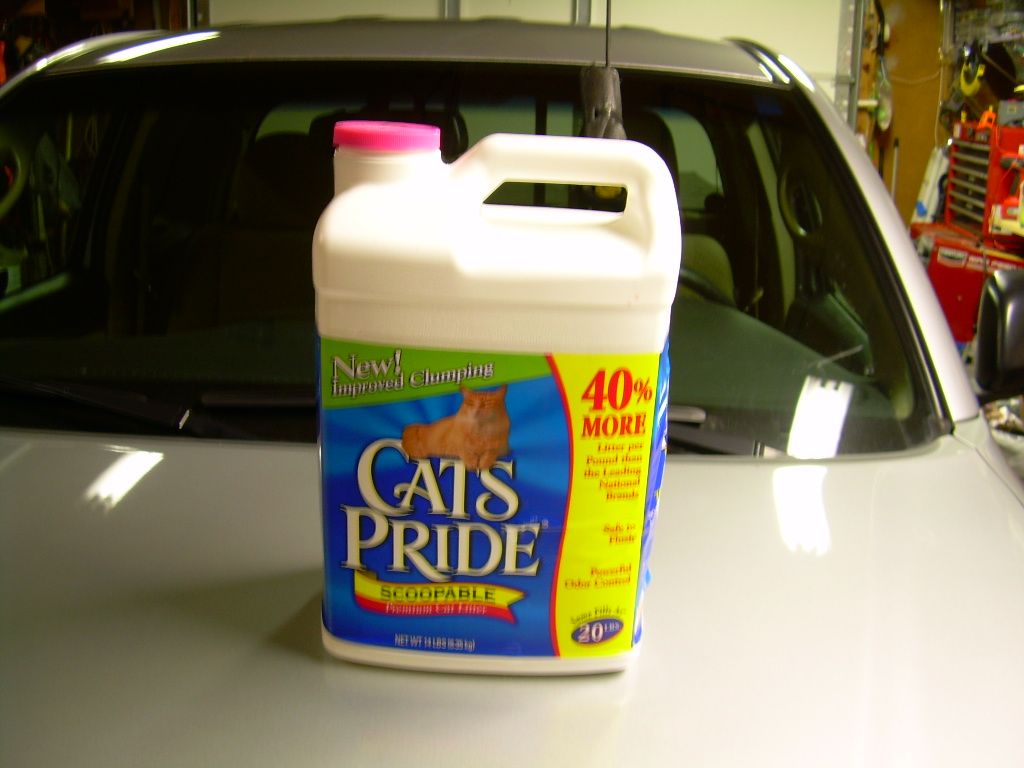 Free Storage Bins Complements of your Cat
