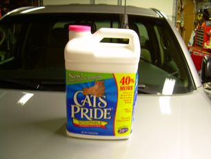 Free Storage Bins Complements of Your Cat